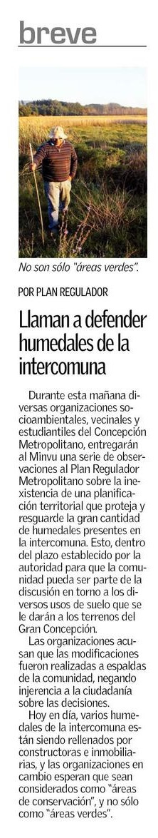 diario-el-sur-nota-humedales-29-1-16