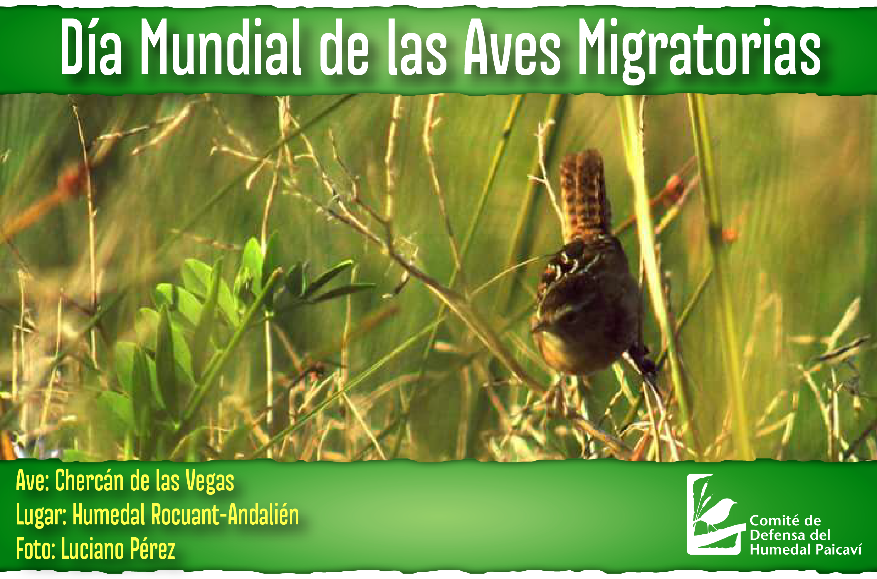 Día Mundial de las Aves Migratorias