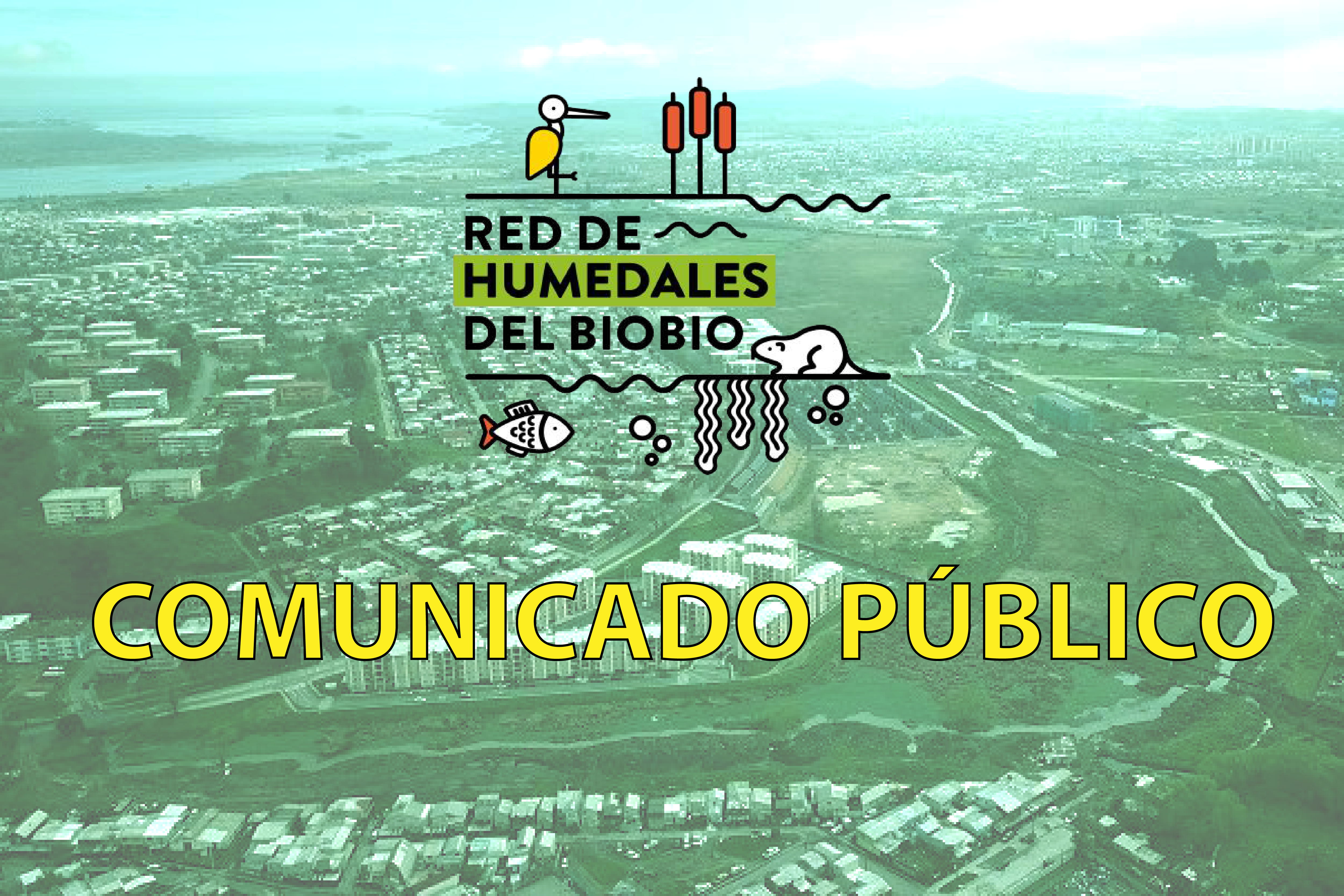 Comunicado de la Red de Humedales de Biobío ante la 14° modificación del Plan Regulador de Concepción