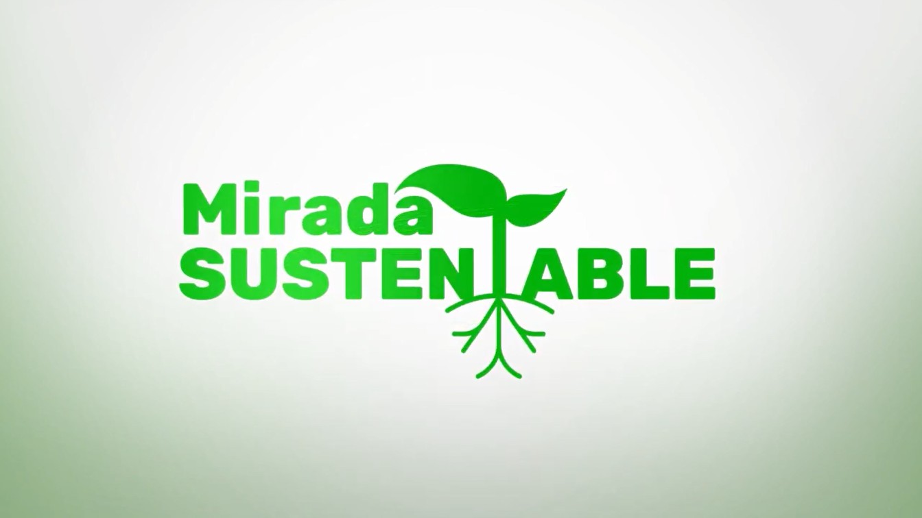 Humedal Paicaví en “Mirada Sustentable” de Canal 9