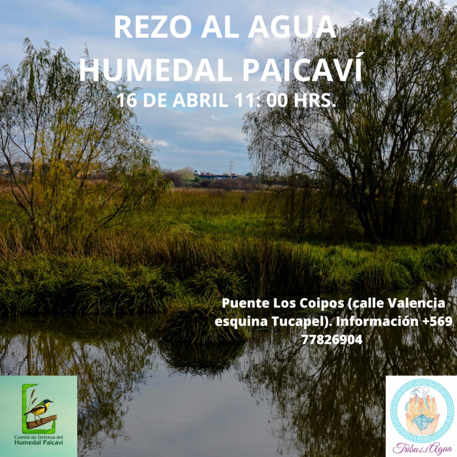 Rezo al Agua en el Humedal Paicaví