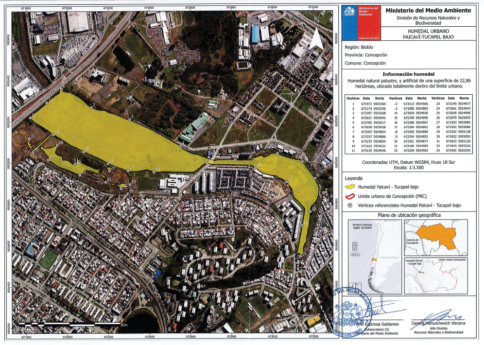 Min. de Medio Ambiente declara parcialmente al Paicaví como Humedal Urbano
