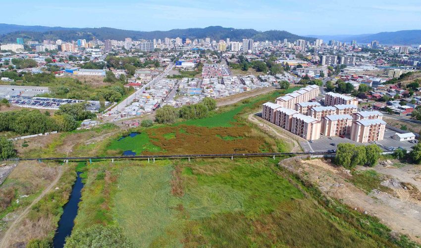 [Diario Concepción] 8 reclamaciones tramita Tribunal Ambiental por declaratoria de últimos humedales urbanos