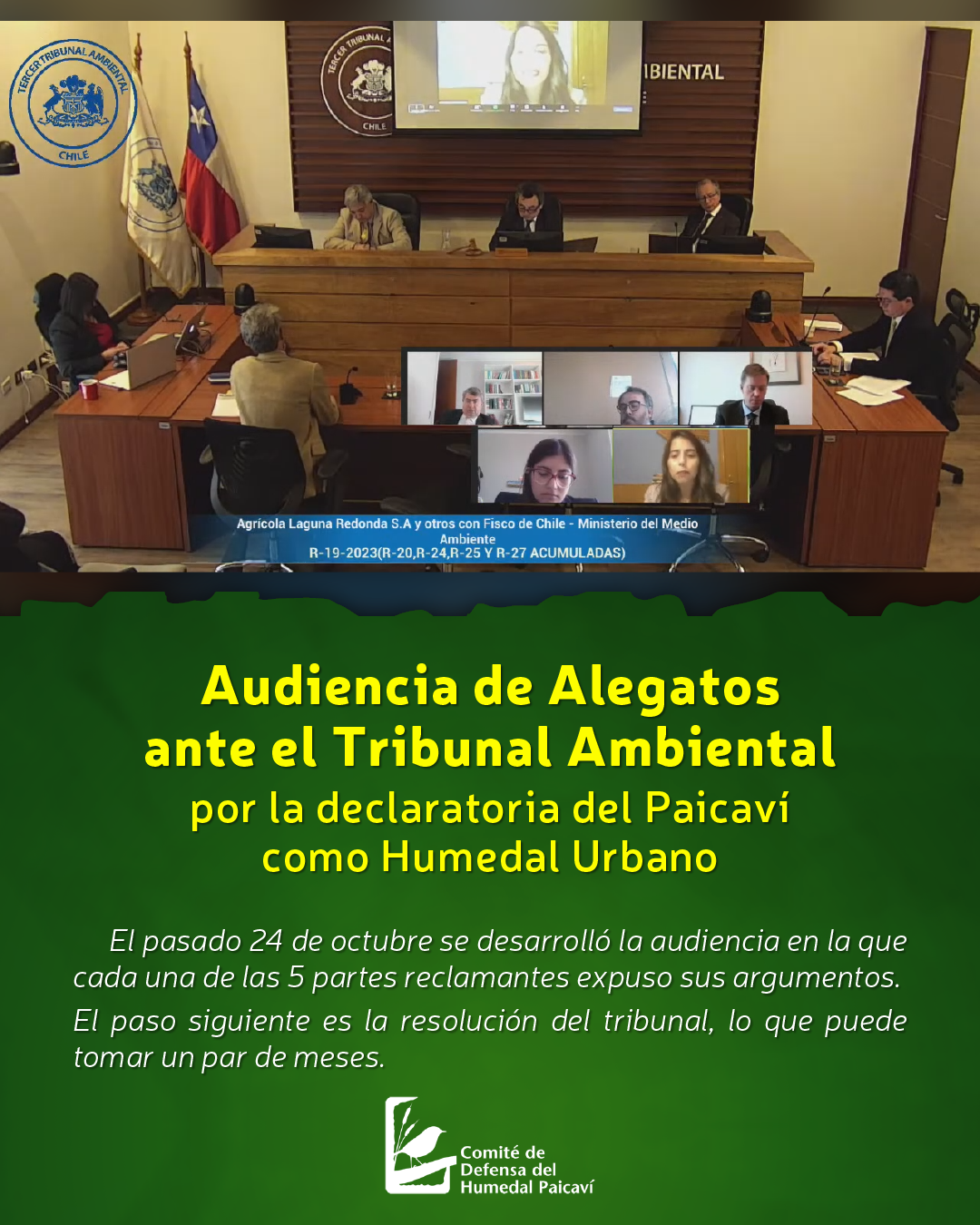 Audiencia de alegatos ante el Tribunal Ambiental