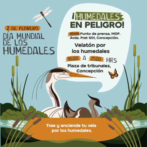 De Febrero Actividades Y Velat N Por El D A Mundial De Los Humedales Comit De Defensa Del