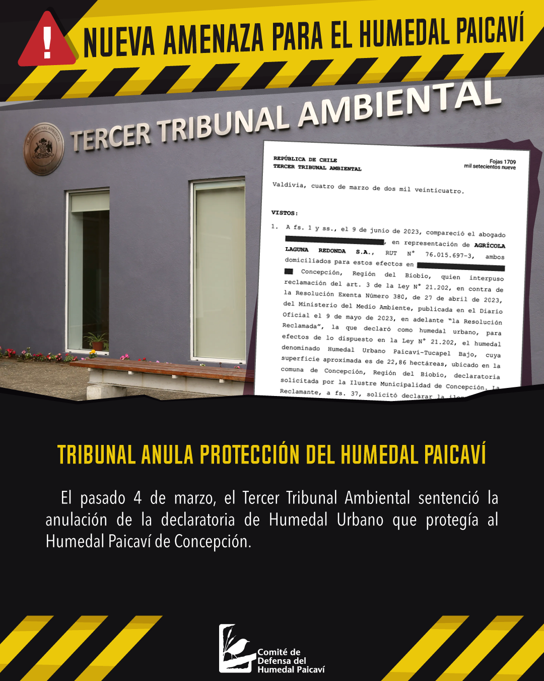 Alerta ambiental: Tribunal anula protección del Humedal Paicaví