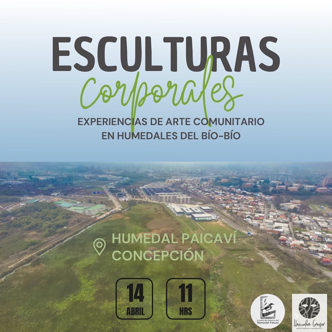 “Esculturas Corporales” de Hannelore Grosser se presentará en el Humedal Paicaví