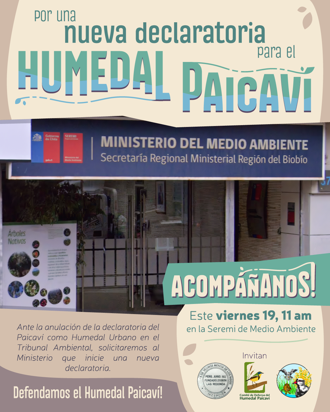 Por una nueva declaratoria para el Humedal Paicaví 🌱