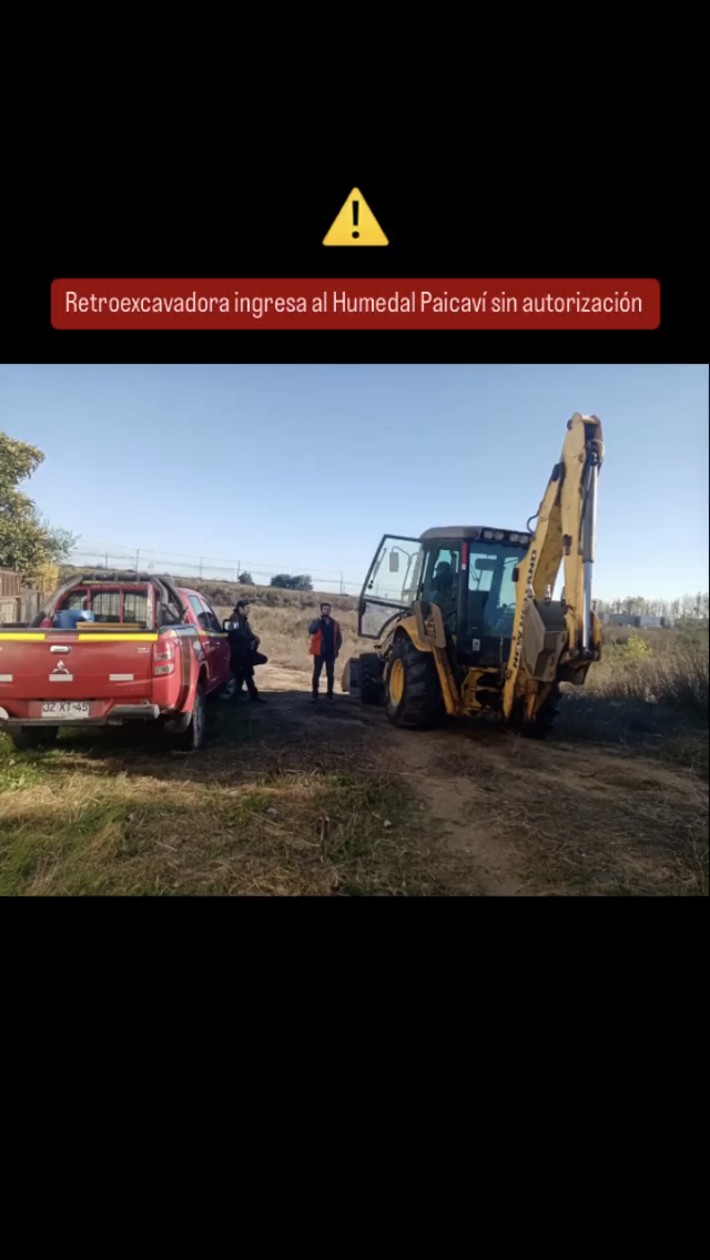 Alerta! Retroexcavadora ingresa al Humedal Paicaví sin autorización