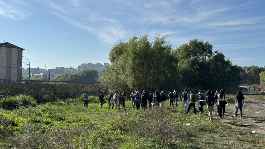 [CEDEUS] Estudiantes de la UDEC exploran desafíos de sustentabilidad urbana en Tucapel Bajo y Villa Esperanza