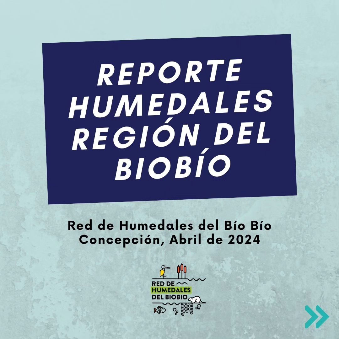 Reporte de Humedal de la Región del Biobío (2024)