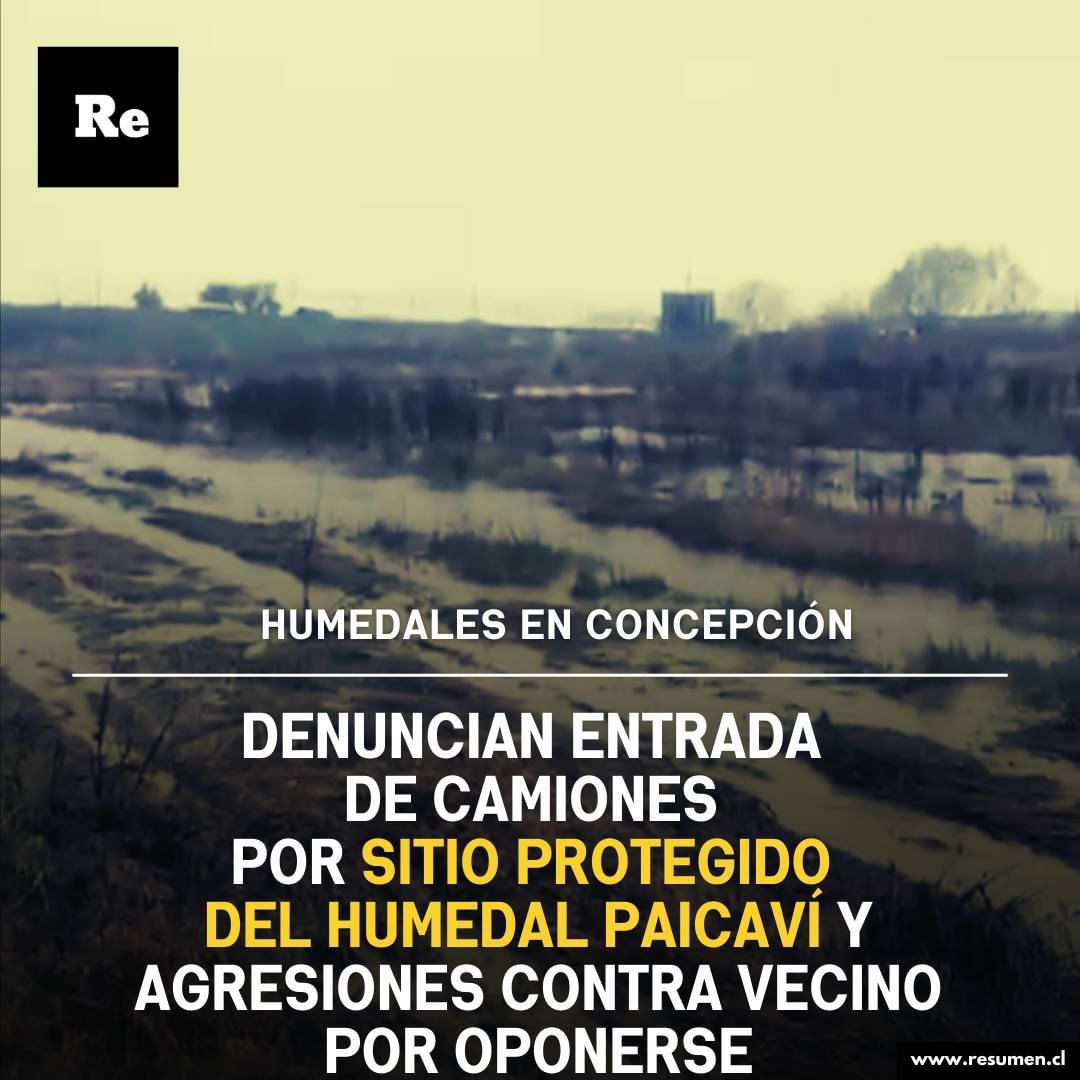 [Resumen.cl] Denuncian entrada de camiones por sitio protegido del Humedal Paicaví y agresiones contra un vecino que intentó oponerse