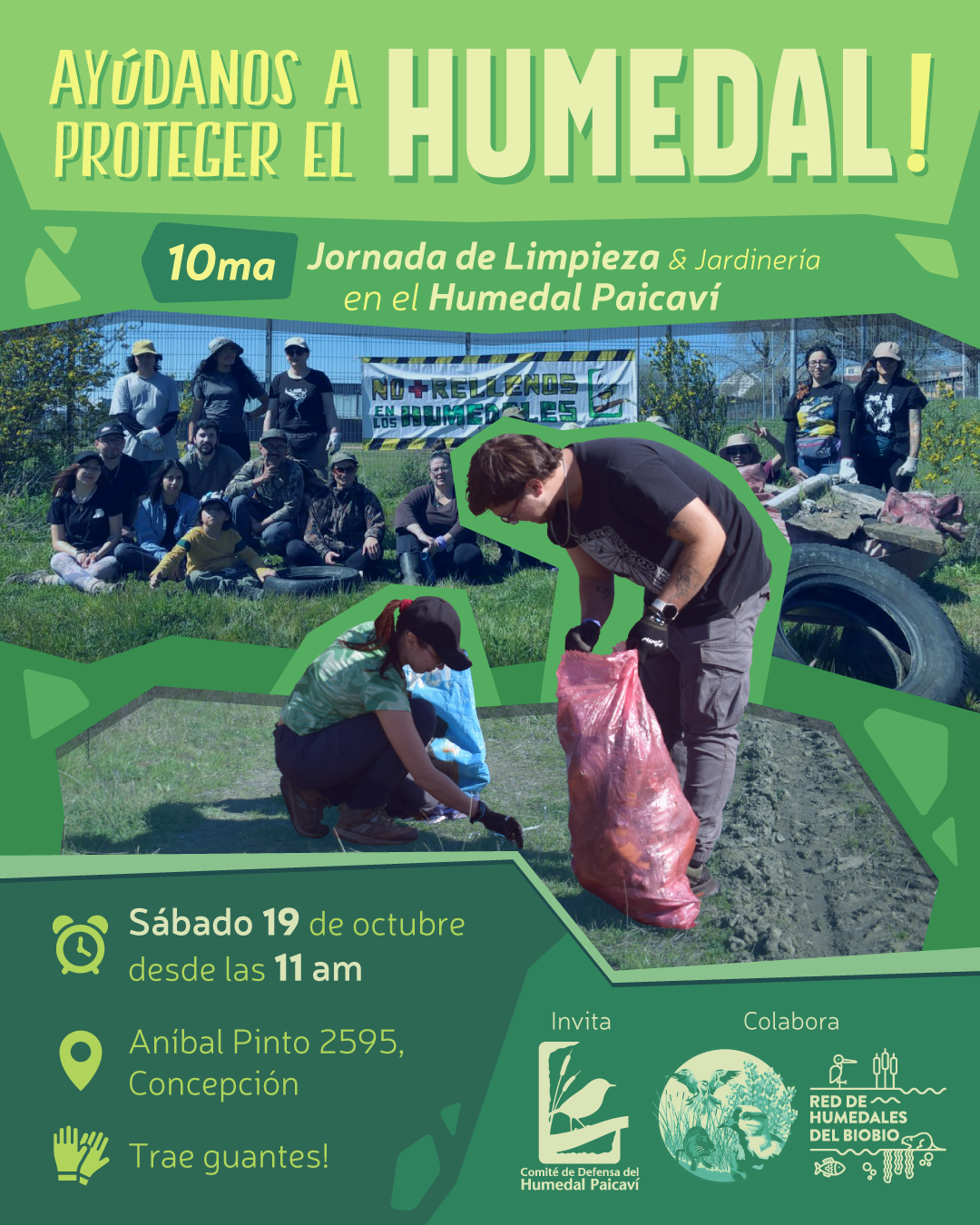 Ven a la 10ma Jornada de Limpieza del Humedal Paicaví