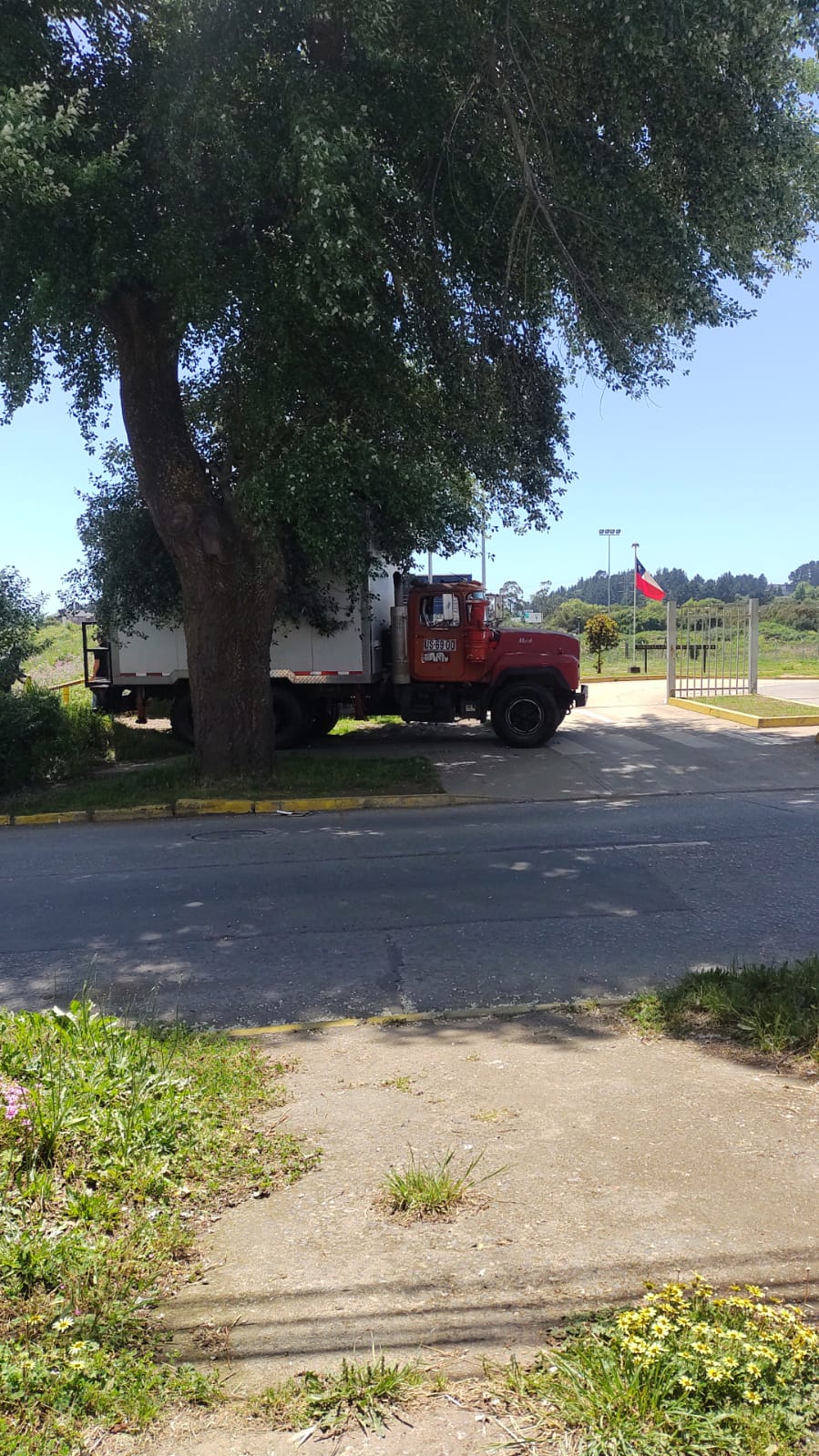 Alerta ambiental! Nuevamente ingresa camión al Humedal Paicaví