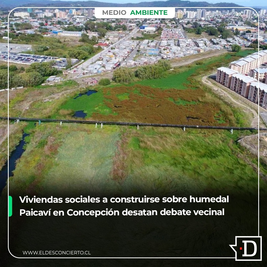 [El Desconcierto] Viviendas sociales a construirse sobre humedal Paicaví en Concepción desatan debate vecinal