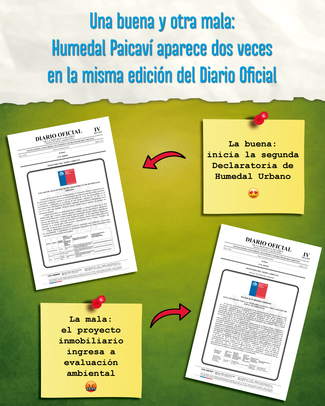 Una buena y otra mala: Humedal Paicaví aparece dos veces en la misma edición del Diario Oficial