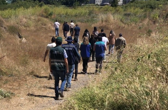 Tras visita a terreno: SEA constata presencia de vegetación hidrófita en lotes del Humedal Paicaví amenazados por proyecto inmobiliario