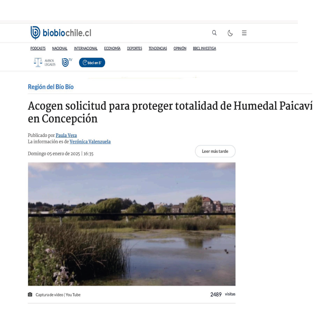 [Biobiochile.cl] Acogen solicitud para proteger totalidad de Humedal Paicaví en Concepción