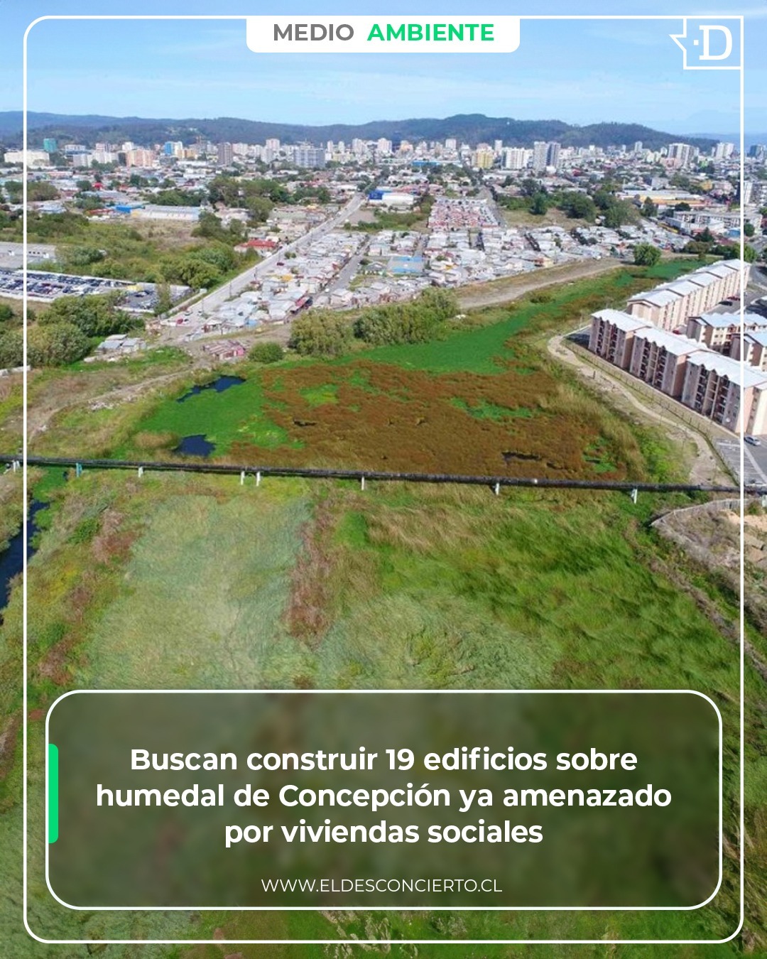 [El Desconcierto] Buscan construir 19 edificios sobre humedal de Concepción ya amenazado por viviendas sociales